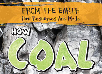 How Coal Is Formed