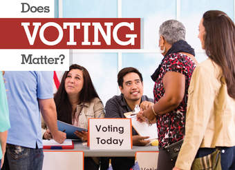 Does Voting Matter?