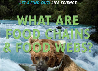 What Are Food Chains &amp; Food Webs?