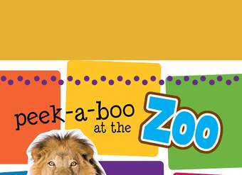 Peek-A-Boo At the Zoo Sound Book