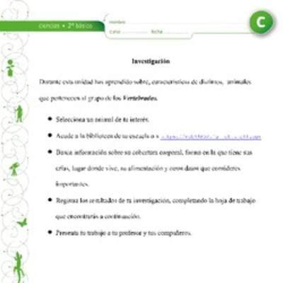 Investigación de un animal