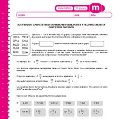 Caracterizar expresiones semejantes y reconocerlas en contextos diversos