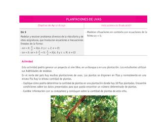 Evaluación Programas - MA07 OA09 - U2 - PLANTACIONES DE UVAS