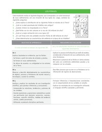 Evaluación Programas - CN1M OA01 - U1 - LOS FÓSILES