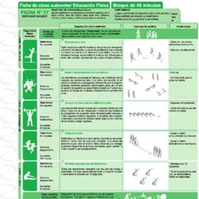 Ejercicio en entorno natural Ficha N° 37