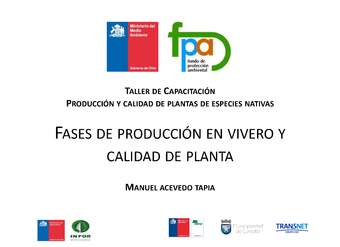 Presentación producción en vivero y calidad de planta