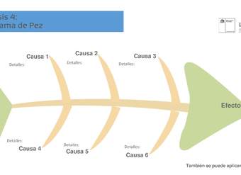 Análisis 4: Diagrama de pez