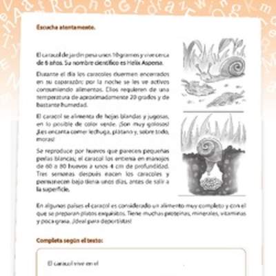 Texto informativo del caracol