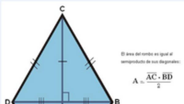 Área de un rombo