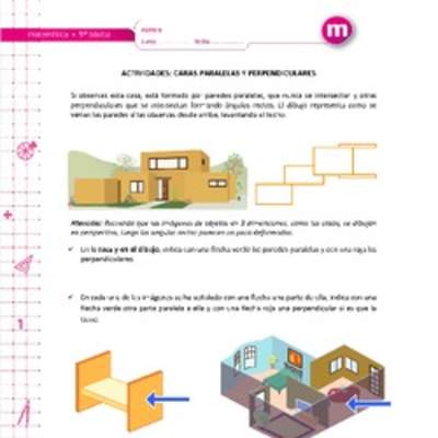 Caras paralelas y perpendiculares