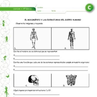 El movimiento y los sistemas del cuerpo