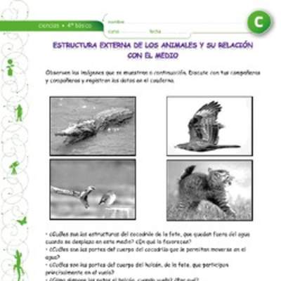 Estructura corporal de animales relacionados con su medio