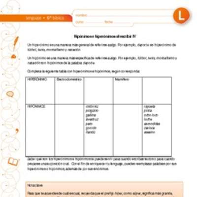 Hiperónimos e hipónimos al escribir IV