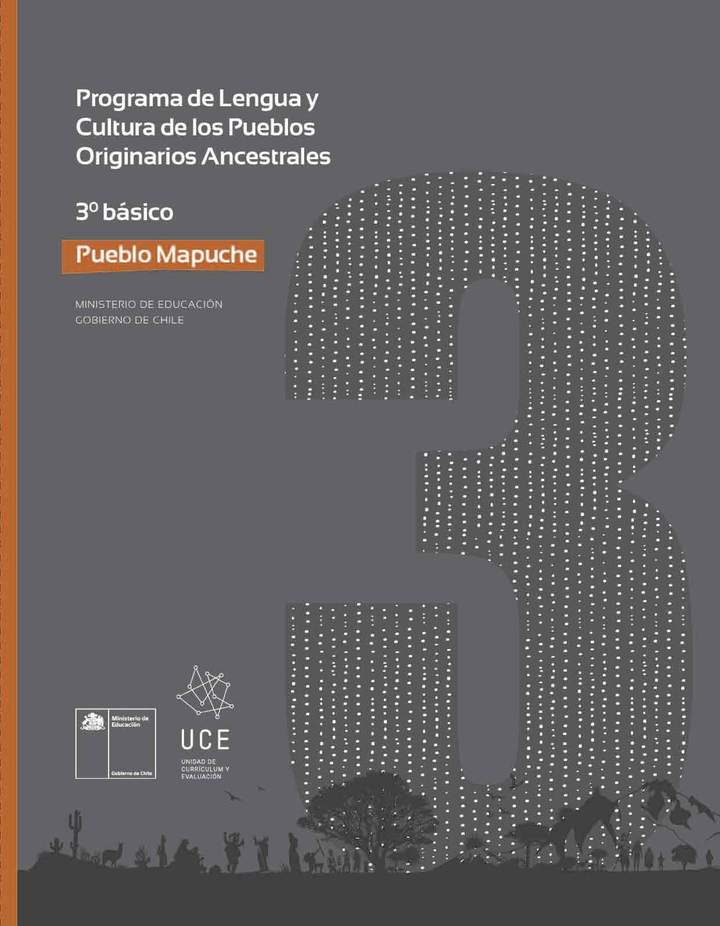 Programa de Estudio MAPUCHE 3° básico