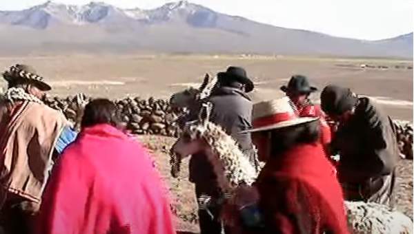 Video de recurso sugerido - LC02 - Aymara - U1 - Nº 13 : Representan las actividades socioculturales que se realizan en los territorios.