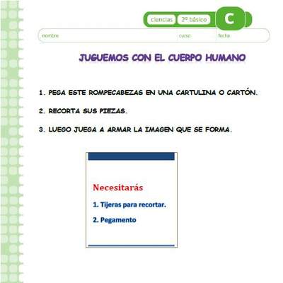 Juguemos con el cuerpo humano