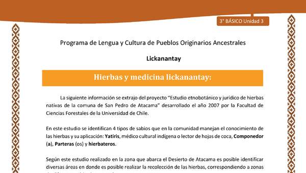 Hierbas y medicina lickanantay