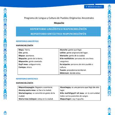 Repertorio lingüístico y sintáctico Mapunchelüwün