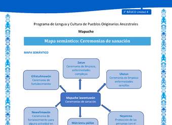 Mapa semántico: Ceremonias de sanación