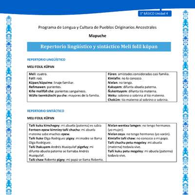 Repertorio lingüístico y sintáctico Meli folil küpan