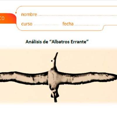 Análisis de Albatros Errante