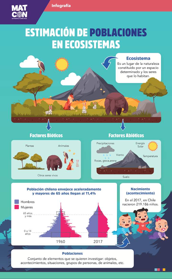 Infografía: Estimación de Poblaciones en Ecosistemas