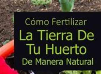 Cómo Fertilizar La Tierra De Tu Huerto De Manera Natural