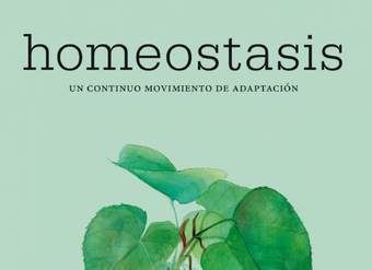 Homeostasis. Un continuo movimiento de adaptación