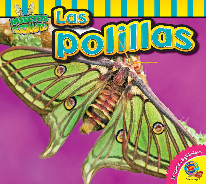 Las polillas