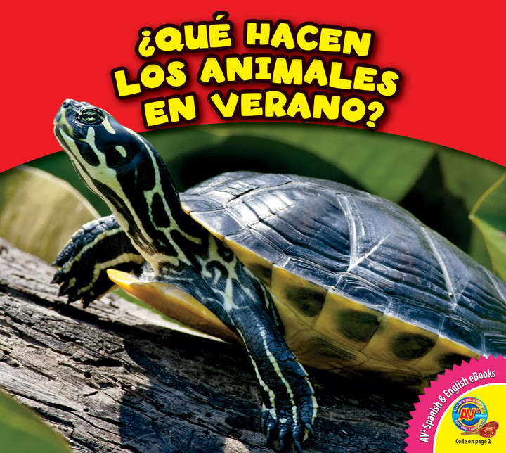 ¿Qué hacen los animales en verano?