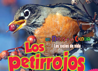 Los petirrojos