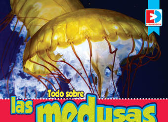 Todo sobre las medusas