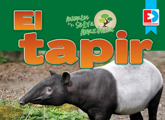 Animales de la Selva Amazónica — El tapir