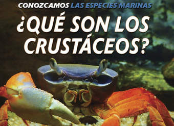 ¿Qué son los crustáceos? (What Are Crustaceans?)