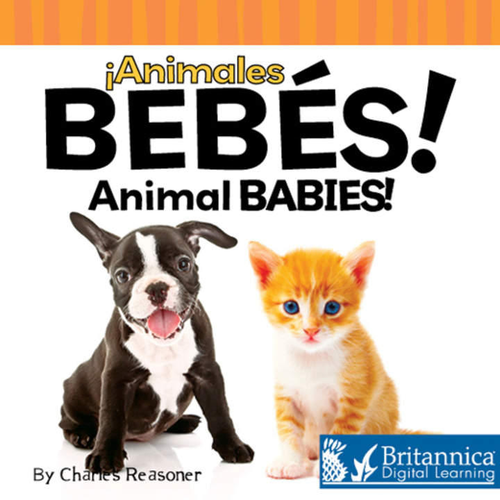 Animales bebés (Animal Babies)