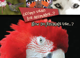 ¿Cómo usan los animales…? (How Do Animals Use…?)