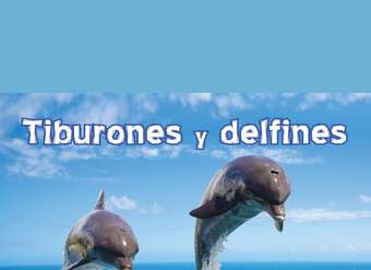 Tiburones y delfines