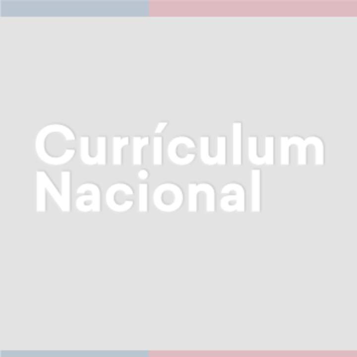 Inicio Curriculum Nacional Mineduc Chile 5750