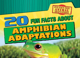 20 Fun Facts About Amphibian Adaptations