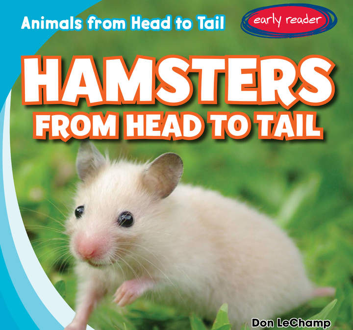 Hamsters from Head to Tail