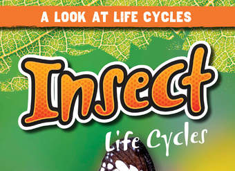 Insect Life Cycles