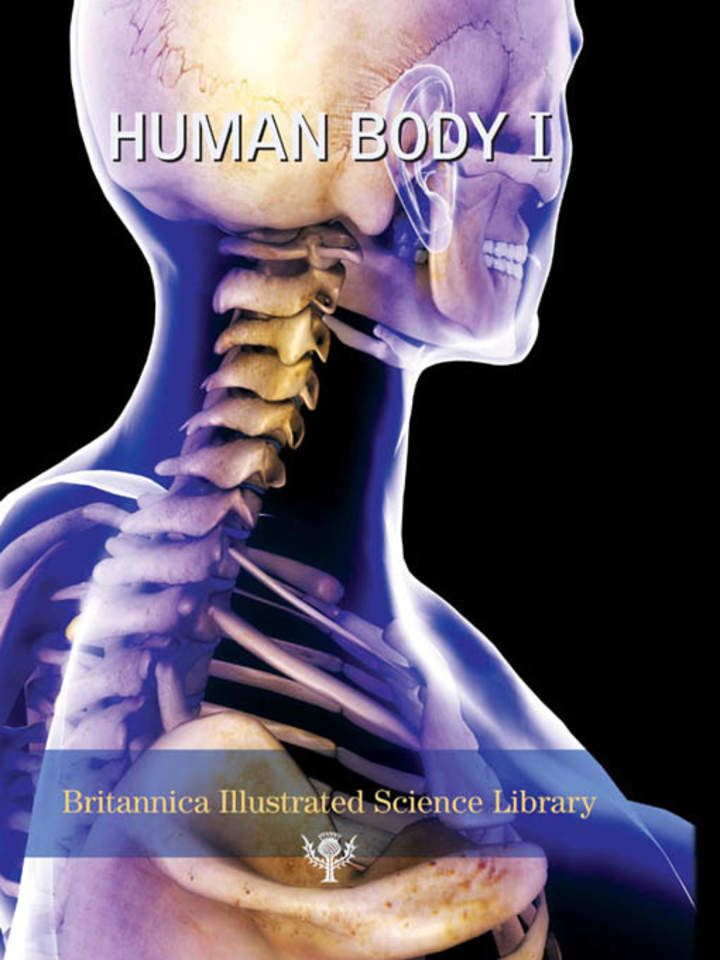 Human Body I