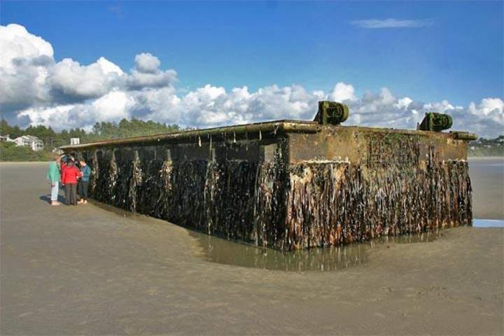 Muelle japonés