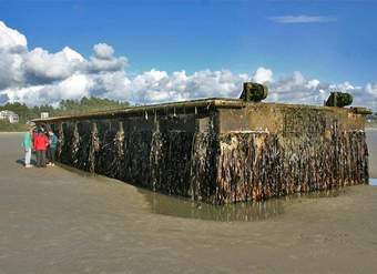 Muelle japonés