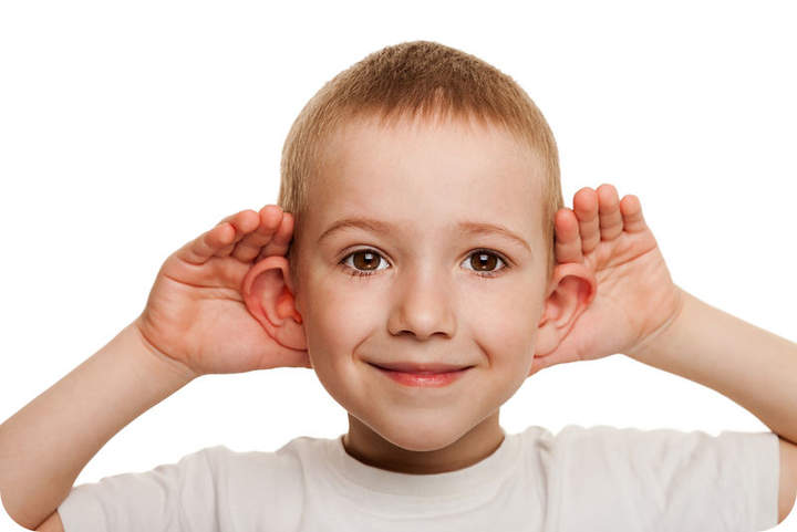 La audición y el oído