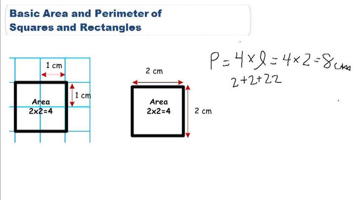 Área básica y perímetro de cuadrados y rectángulos: descripción general