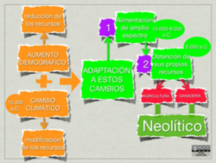 Mapa conceptual Neolítico