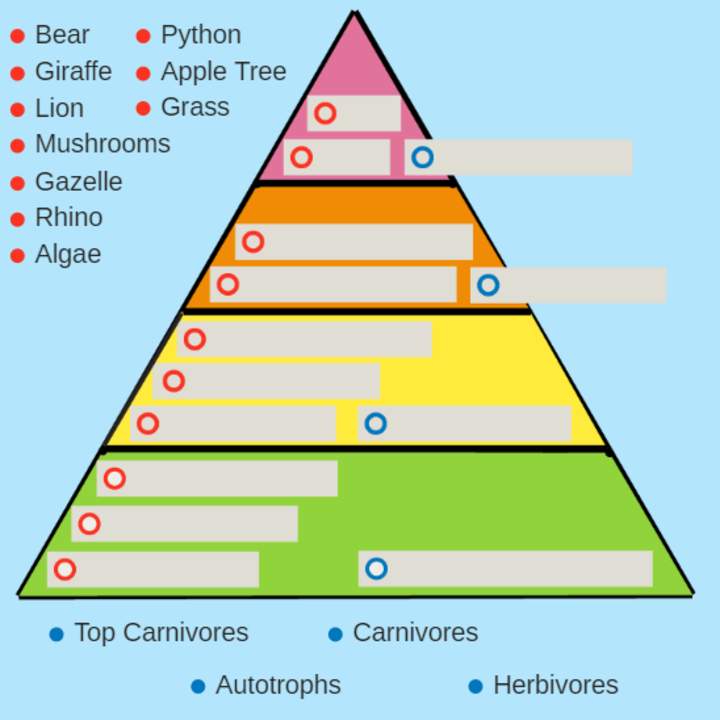 Pirámide alimenticia