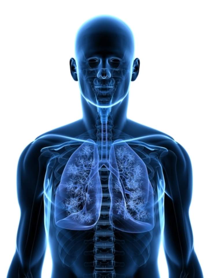 El sistema respiratorio - avanzado