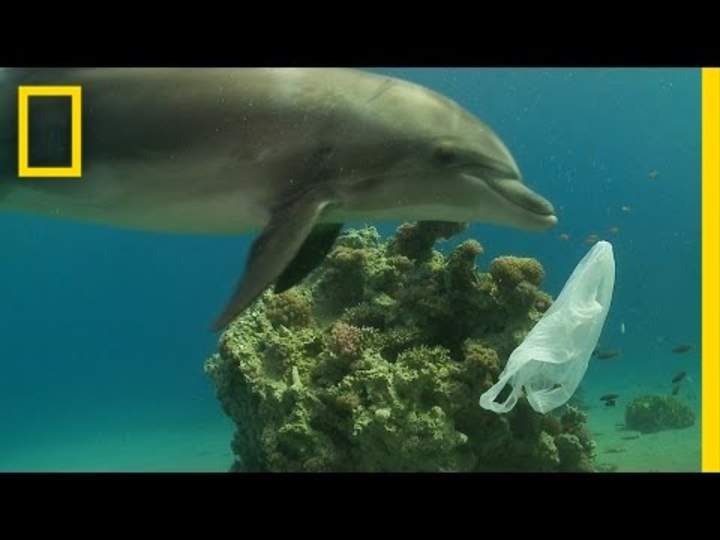 Cómo podemos mantener los plásticos fuera de nuestro océano | National Geographic